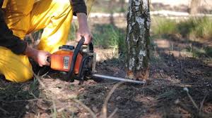 Best Stump Grinding and Removal  in Leith Hatfield, PA